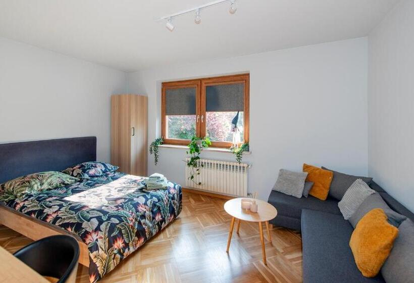 إستوديو ديلوكس, Aparthotel Studio