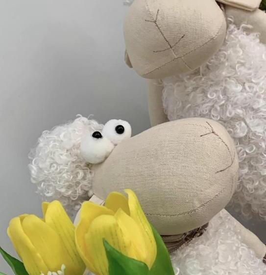 إستوديو ديلوكس, Aparthotel Studio