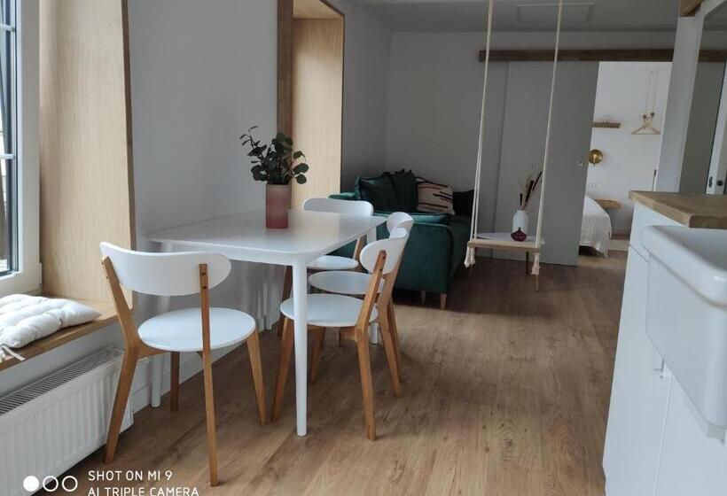 דירת חדר, Willa Bursztynowa