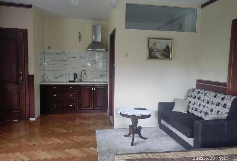 اتاق استاندارد با چشم‌انداز کوهستان, Willa Leśna Polana