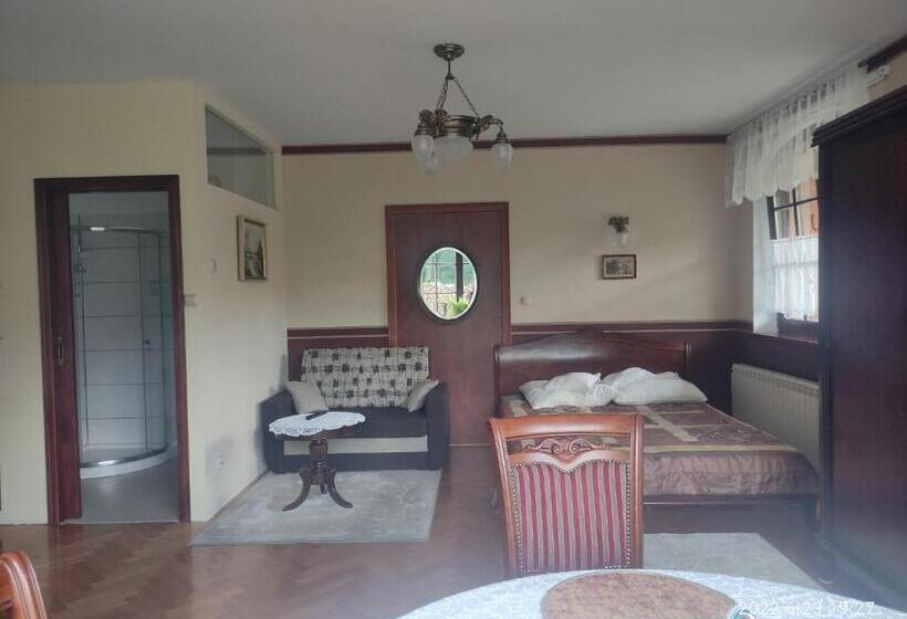 اتاق استاندارد با چشم‌انداز کوهستان, Willa Leśna Polana