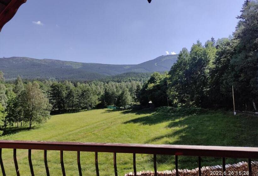 اتاق خانوادگی, Willa Leśna Polana