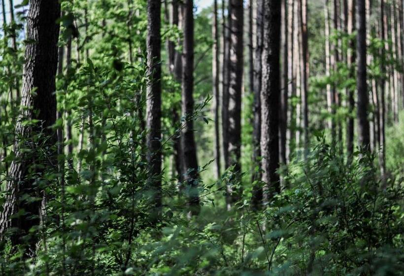 חדר סטנדרט חדר אמבטיה משותף, Zajazd Dabie