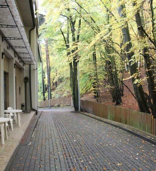آپارتمان 1 خوابه, Hostel Leśny