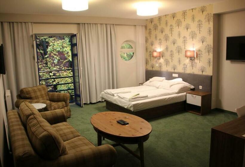 آپارتمان 1 خوابه, Hostel Leśny