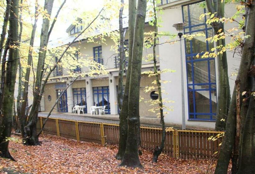 اتاق استاندارد, Hostel Leśny