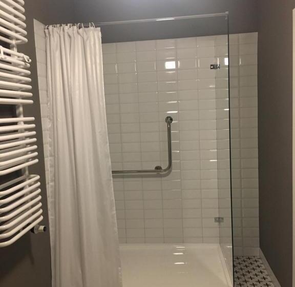 장애인을 위한 스탠다드 싱글 룸, Villam