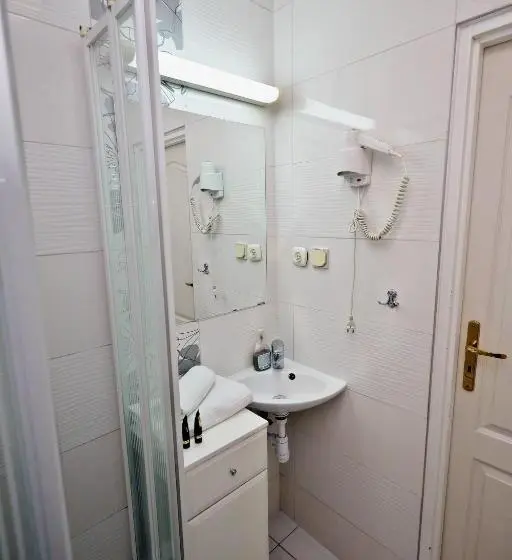 Standard Yhden Hengen Huone, Bed&breakfast Maciejanka