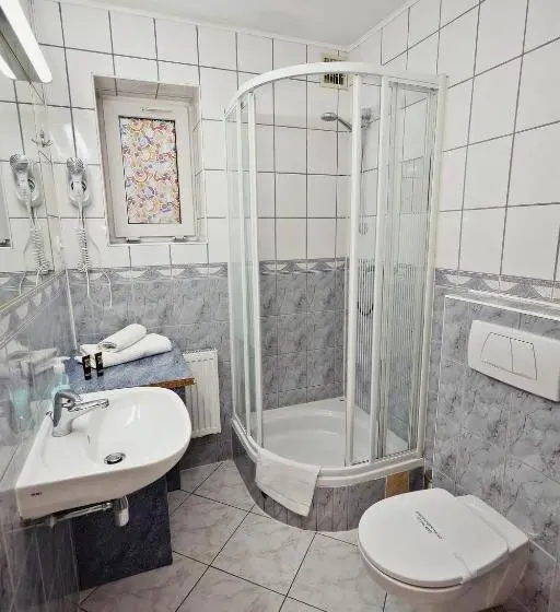 Economy-huone, Bed&breakfast Maciejanka
