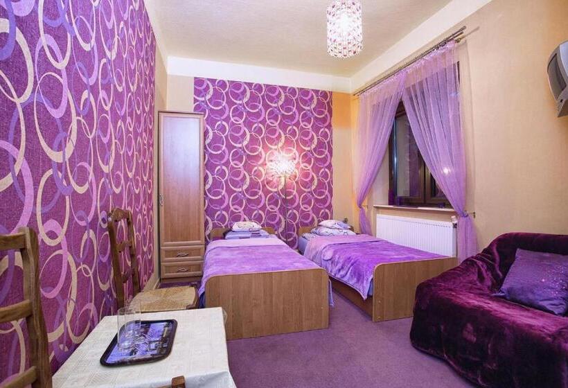 غرفة قياسية, Dom Gościnny Przedmieście