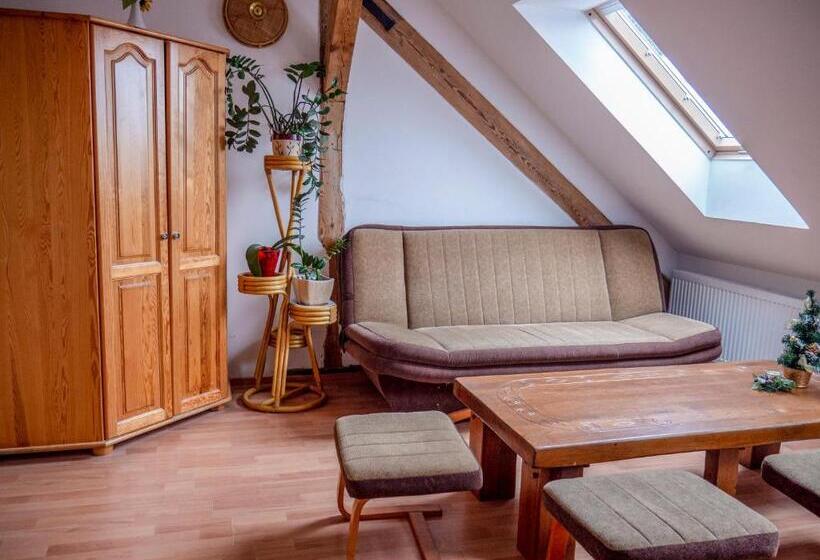 Люкс, Ani Konferencje Imprezy Wypoczynek