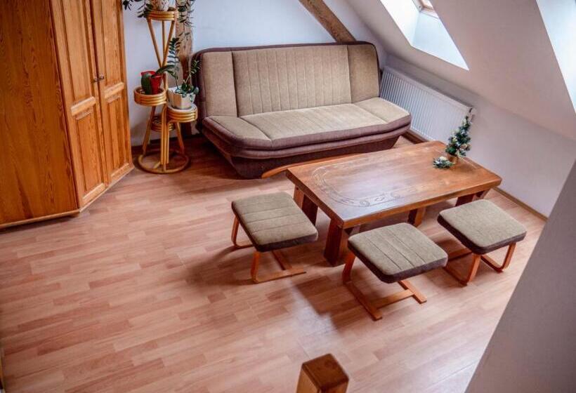 Люкс, Ani Konferencje Imprezy Wypoczynek