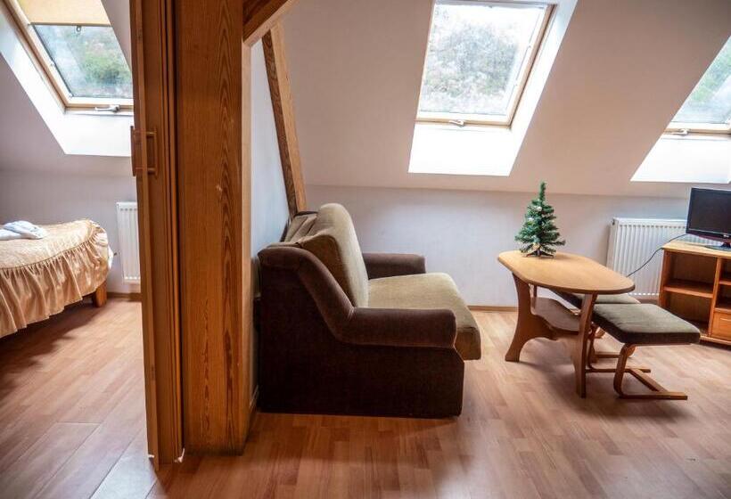 Люкс, Ani Konferencje Imprezy Wypoczynek