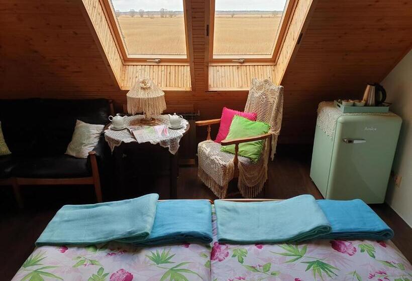 חדר סטנדרט, Dom Gościnny Ptaszarnia Natura Free Parking