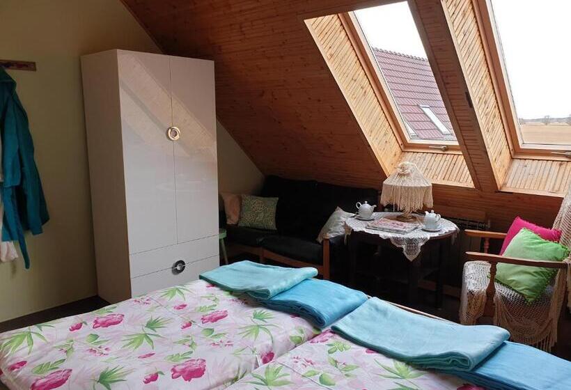 חדר סטנדרט, Dom Gościnny Ptaszarnia Natura Free Parking