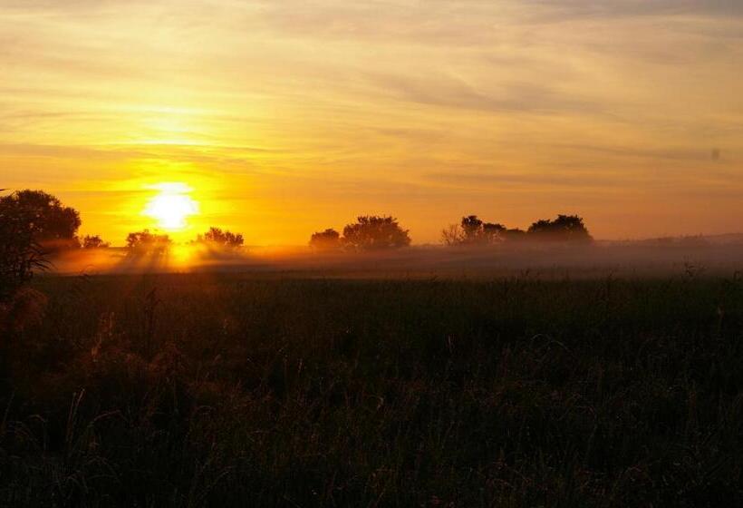 חדר סטנדרט, Dom Gościnny Ptaszarnia Natura Free Parking
