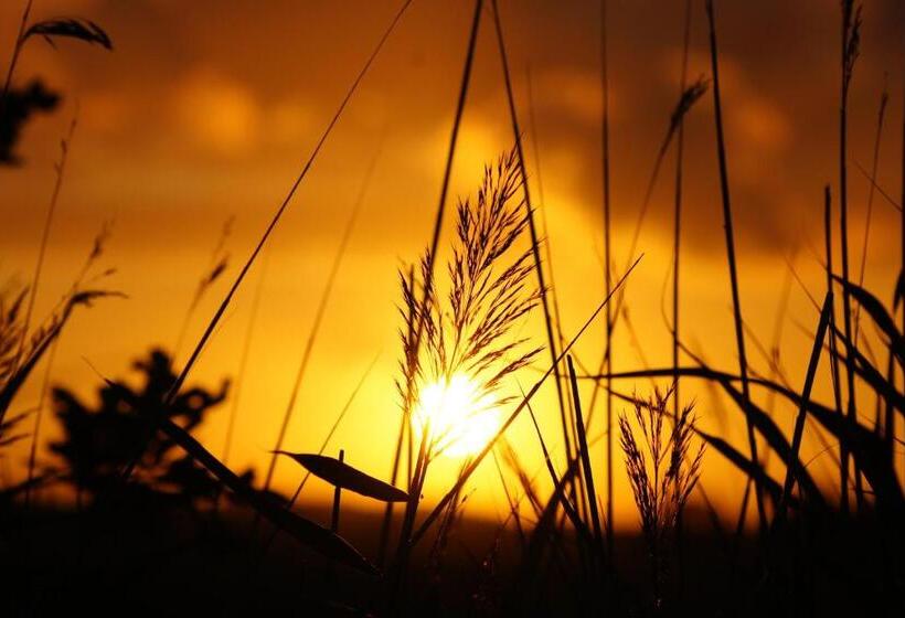 חדר סטנדרט, Dom Gościnny Ptaszarnia Natura Free Parking