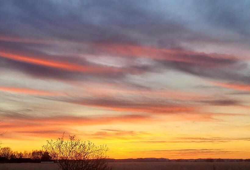 חדר סטנדרט, Dom Gościnny Ptaszarnia Natura Free Parking