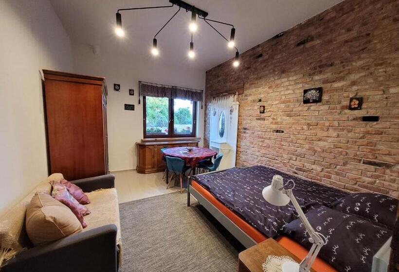 סטודיו משפחתי, Dom Gościnny Ptaszarnia Natura Free Parking