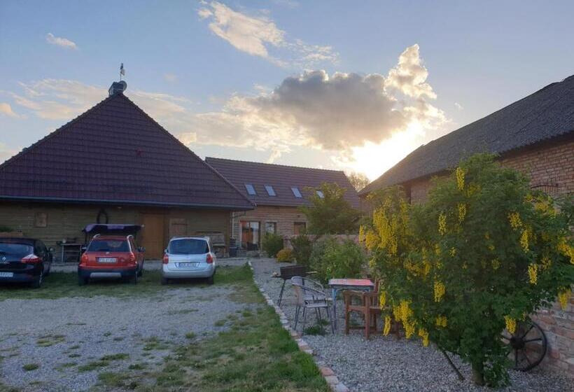 סטודיו משפחתי, Dom Gościnny Ptaszarnia Natura Free Parking