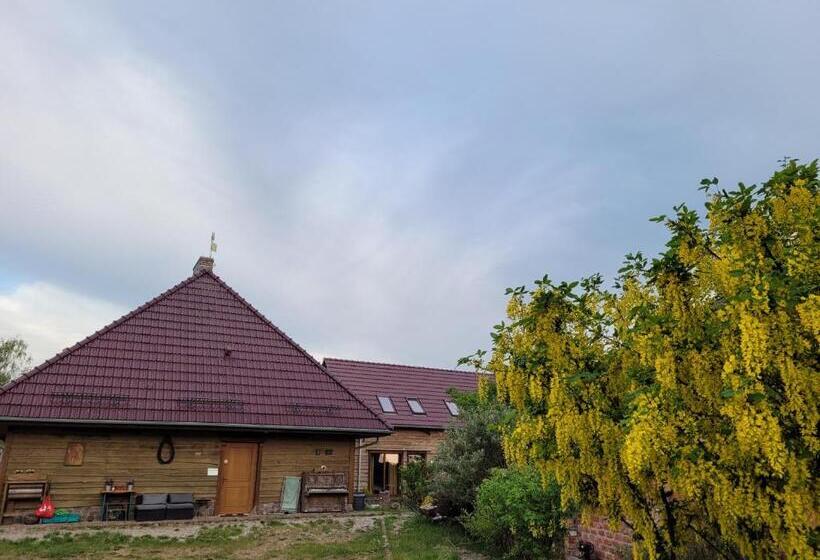 סטודיו משפחתי, Dom Gościnny Ptaszarnia Natura Free Parking