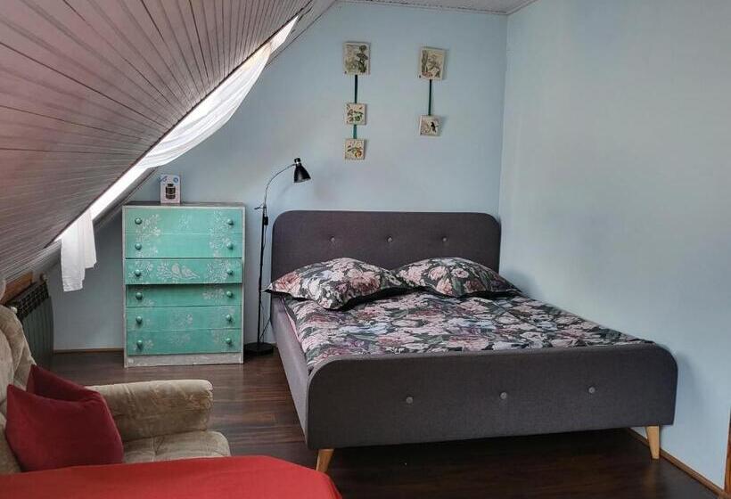 חדר סופריור, Dom Gościnny Ptaszarnia Natura Free Parking