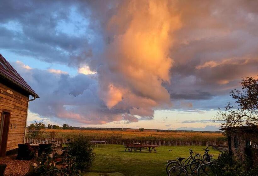 חדר סטנדרט, Dom Gościnny Ptaszarnia Natura Free Parking