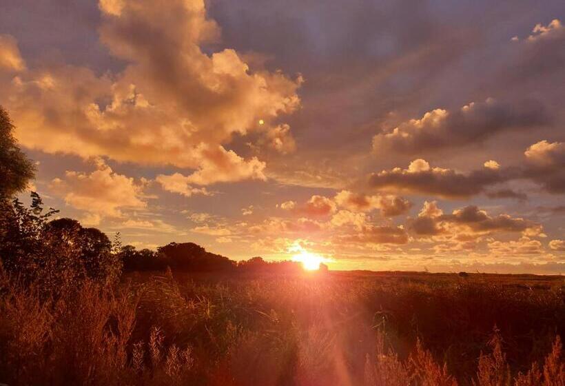 חדר סטנדרט, Dom Gościnny Ptaszarnia Natura Free Parking