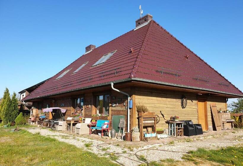 Семейное Студио, Dom Gościnny Ptaszarnia   Natura Free Parking