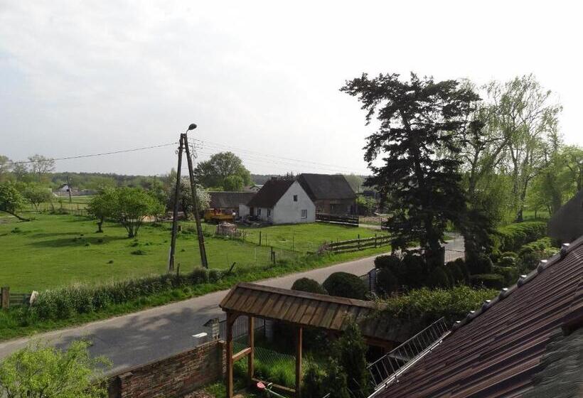 חדר סטנדרט עם מיטת קינג, Dom Gościnny Ptaszarnia Natura Free Parking