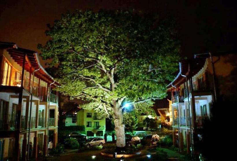 标准间带露台, Rezydencja 5 Dębów