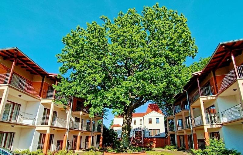 带阳台的三人标准间, Rezydencja 5 Dębów