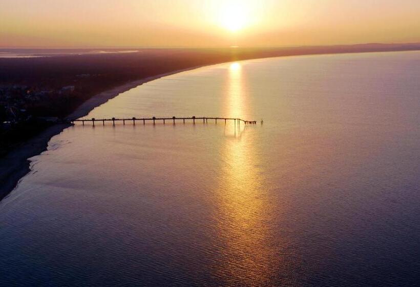 标准单人间, Rezydencja 5 Dębów