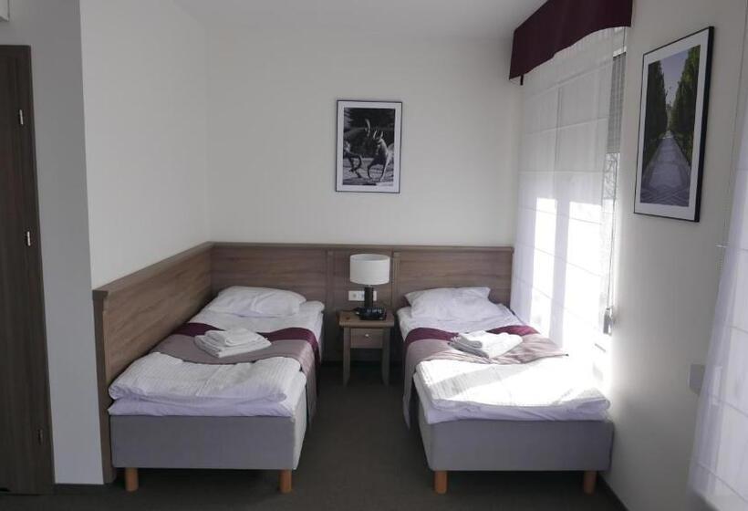 豪华房间, Willa Medica