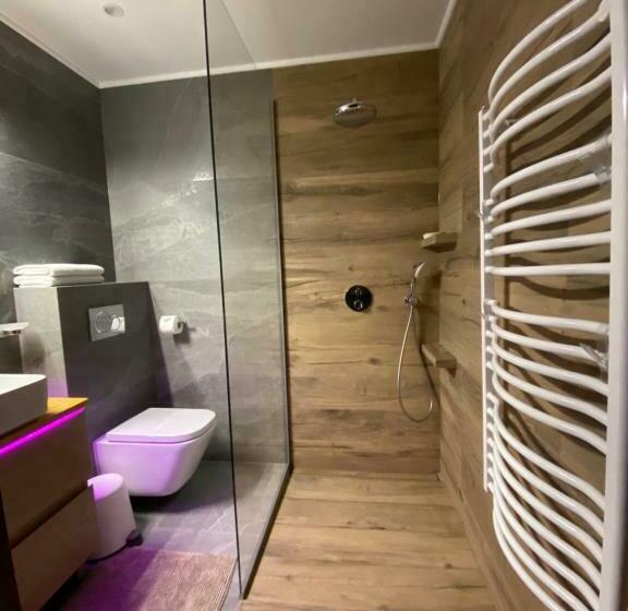 آپارتمان 1 خوابه با تراس, Willa Pod Czantorią Spa Ustroń