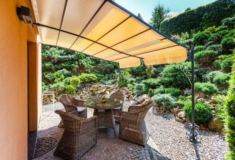 آپارتمان 1 خوابه با تراس, Willa Pod Czantorią Spa Ustroń