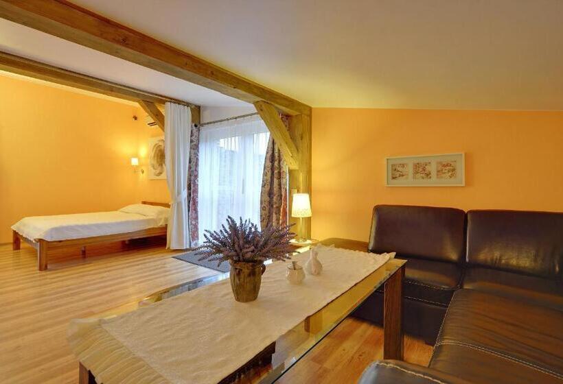 Family flat with terrace, Willa Pod Czantorią Spa Ustroń