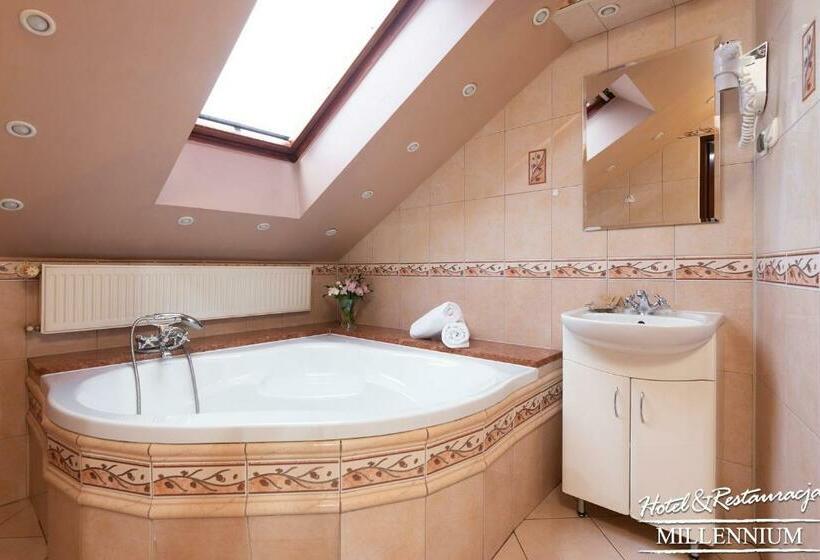 شقة غرفة واحدة, Millennium