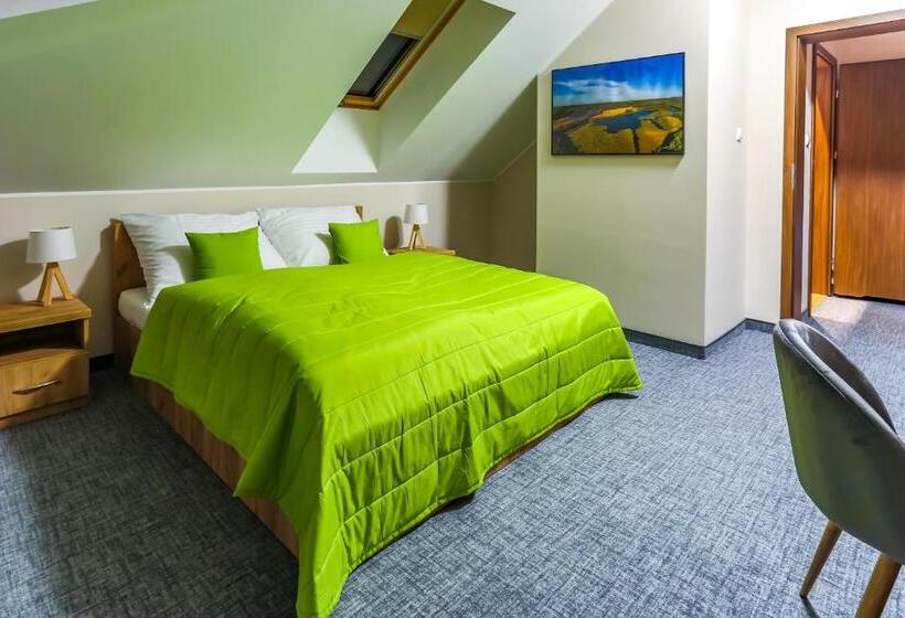 キングサイドベッドのスタンダードワンルーム, Szelesiówka & Spa