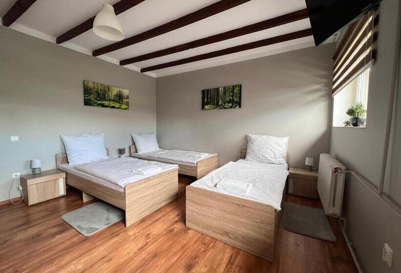 Трежместный Номер Economy, Szelesiówka & Spa