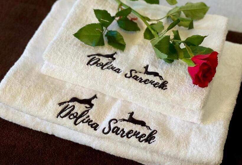 스탠다드 발코니 룸, Dolina Sarenek