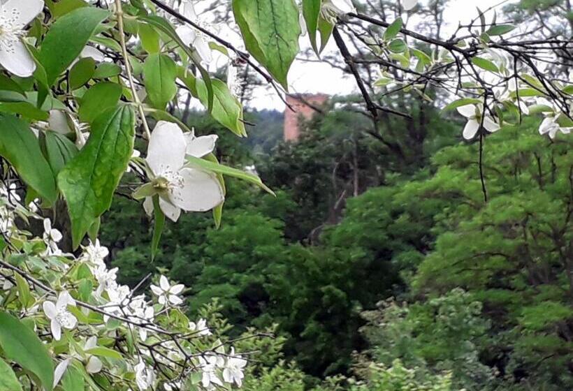 ویلای 1 خوابه, Villarada