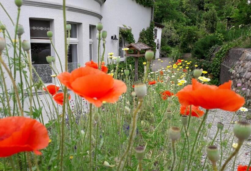 ویلای 1 خوابه, Villarada