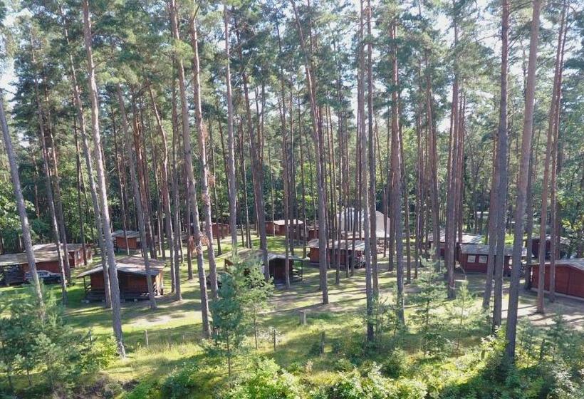 بانگلوی استاندارد, Resort Niegocin