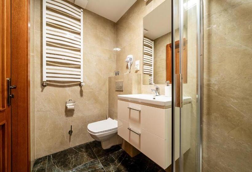 غرفة ديلوكس, Piastun Spa&wellness Krynica Zdrój