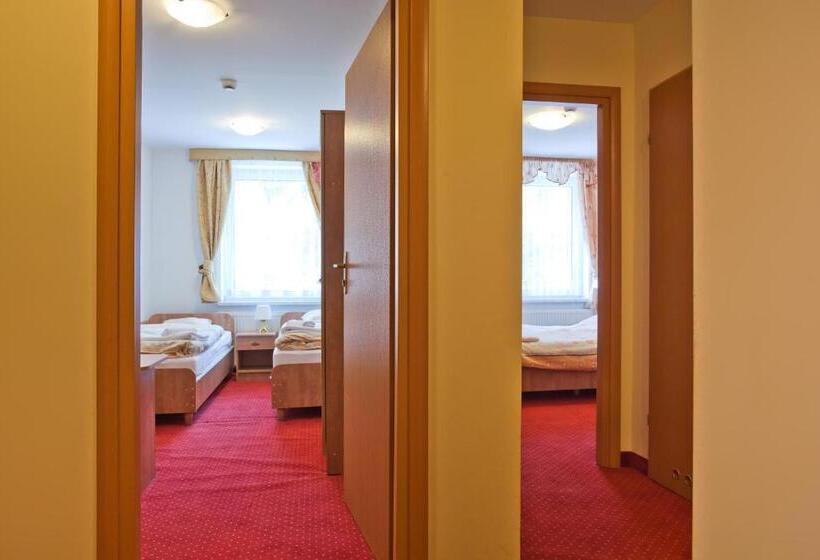 Семейное Студио, Piastun Spa&wellness Krynica Zdrój