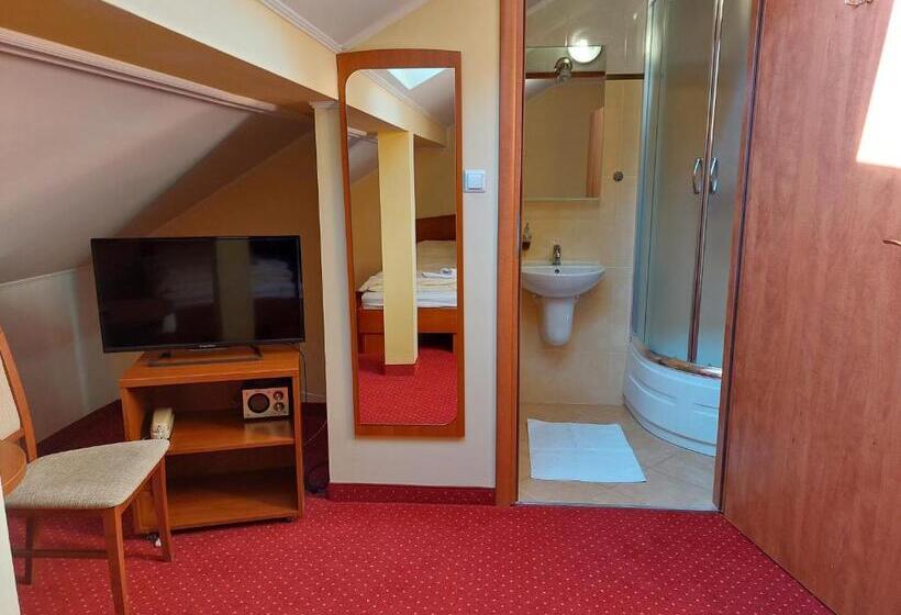 غرفة إقتصادية, Piastun Spa&wellness Krynica Zdrój