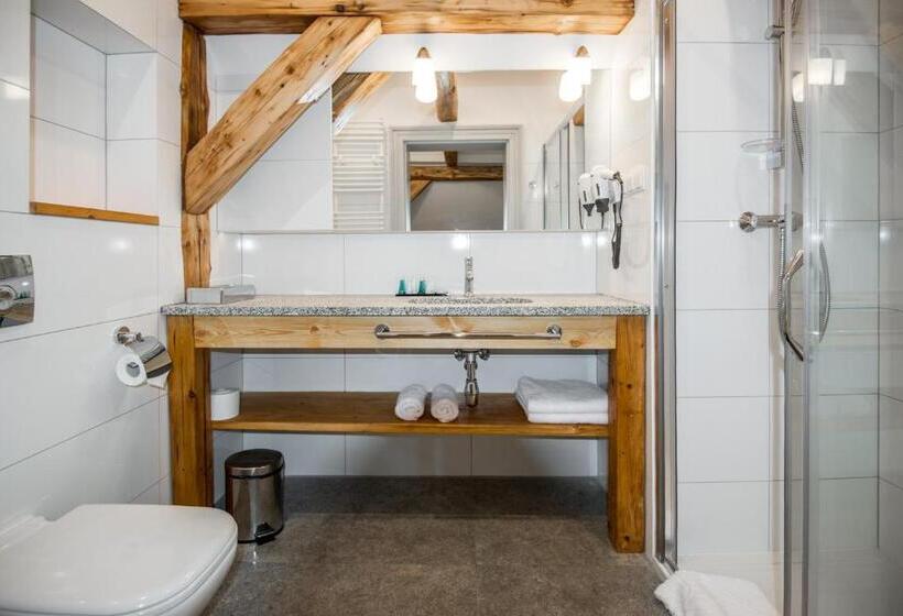 חדר סטנדרט, Zamek Karpniki Schloss Fischbach