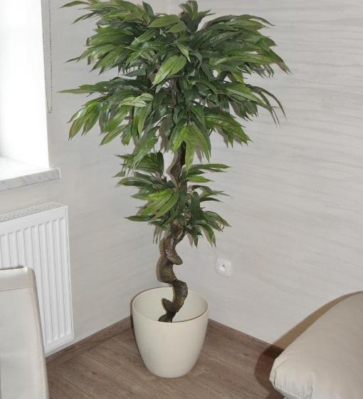 Апартаменты Deluxe 1 Спальня, Apartamenty Zamkowa