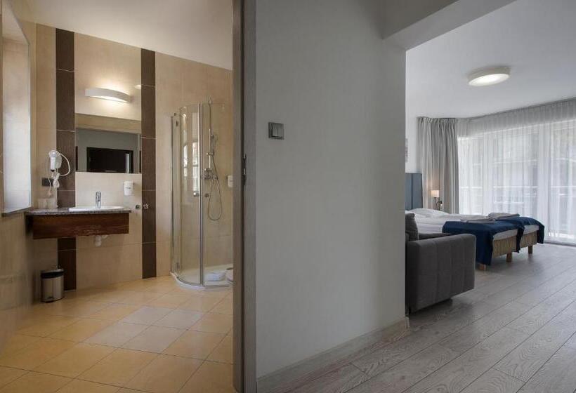 חדר סטנדרטי פלוס, Aparthotel Baltic Spa